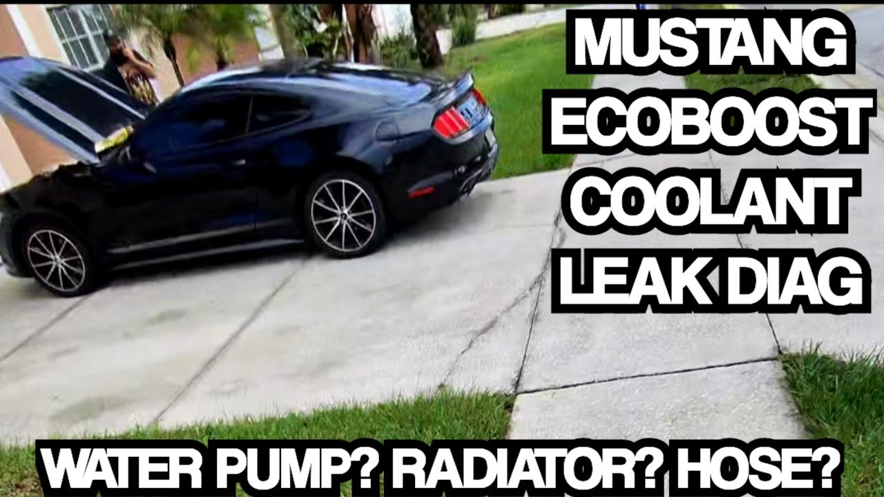 Diagnosing A Coolant Leak on a Ecoboost Mustang - A look into how I Diag & interact With Customers