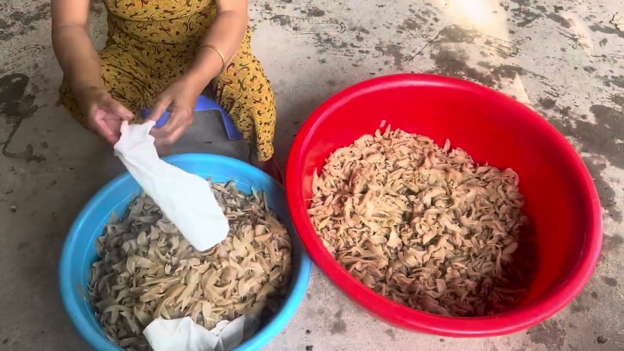 Chuẩn bị cơm tối mai 11h mình đi tp 