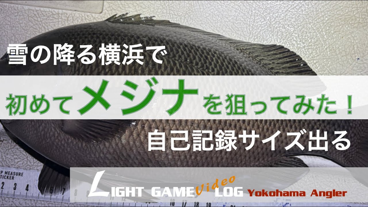 雪が降る中、初めてメジナを狙ってみた。