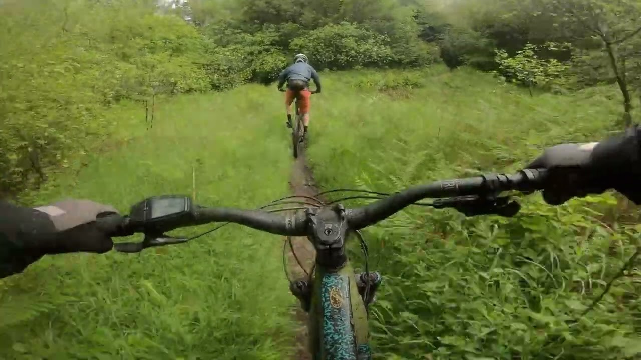 Trails this good, wet. - Rudry, Caerphilly