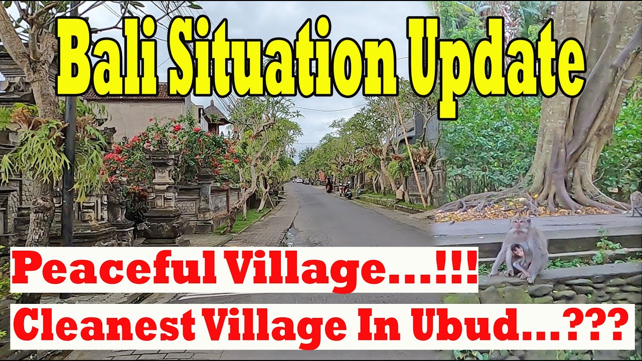 The Cleanest and Peaceful Village In Ubud..??? Nyuh Kuning Village Ubud | Bali Situation Update