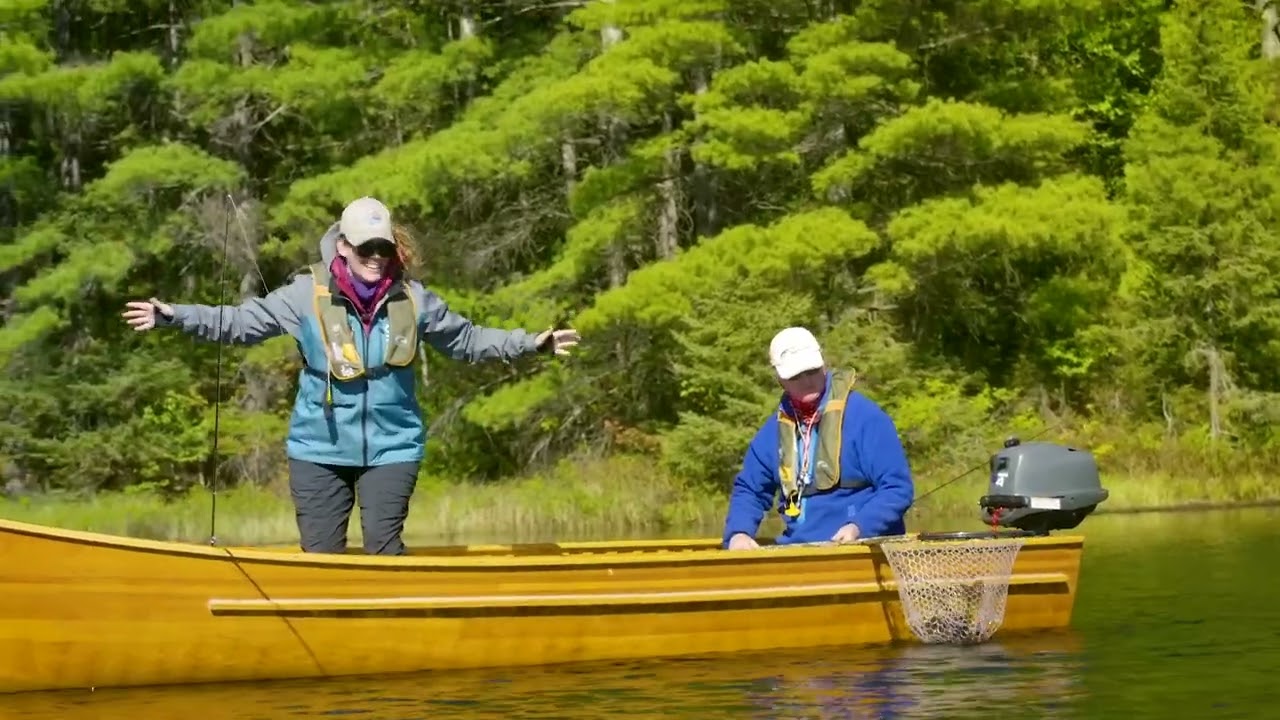 Brookies on a Fly in Algoma
