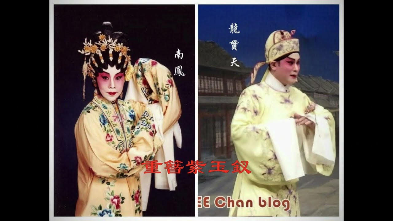 重簪紫玉釵(龍貫天 南鳳)