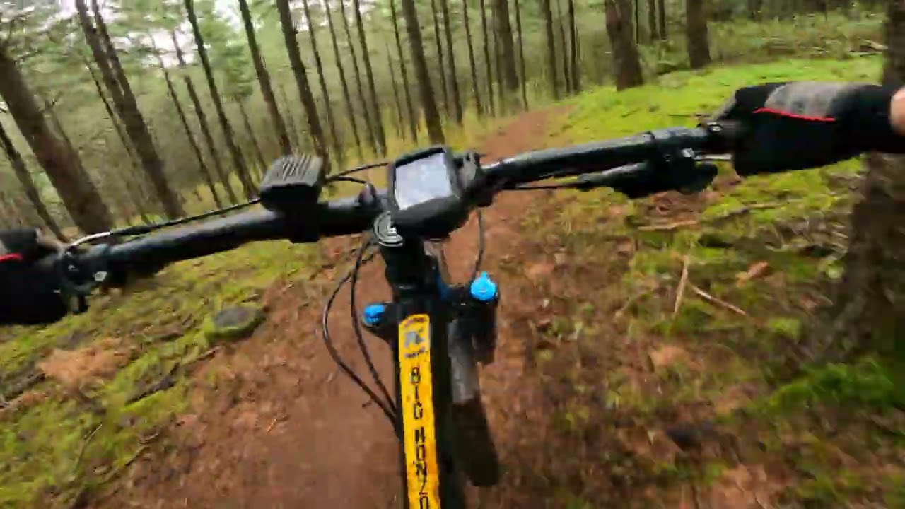 McDonald Dunn Forest: Bonzai Pt 1