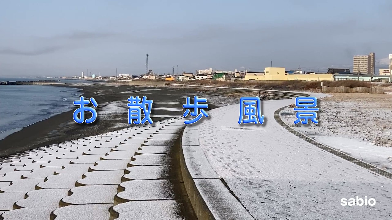 2026.02.18　お散歩風景