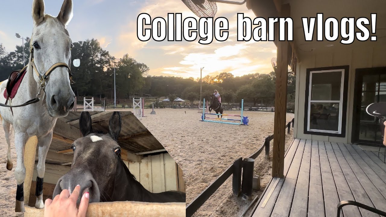 College barn vlog!