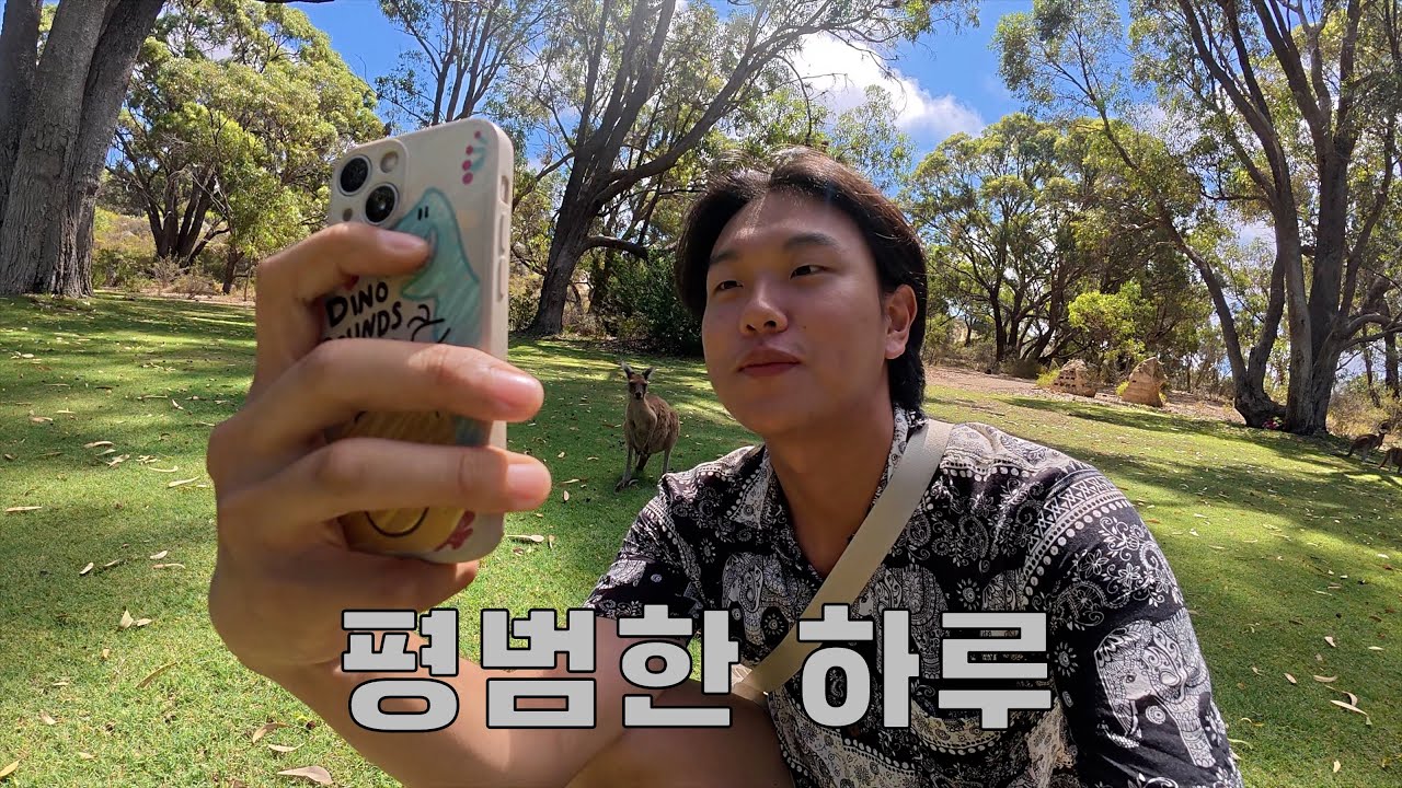 그냥 밥 먹고 캥거루 구경하는 영상 [호주 워홀 19]