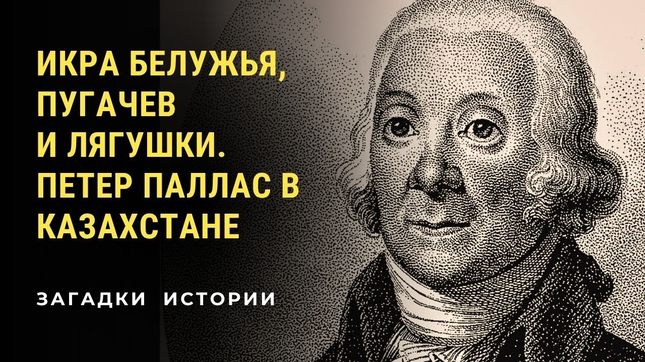 Икра белужья, Пугачев и лягушки. Петер Паллас в Казахстане. Загадки истории