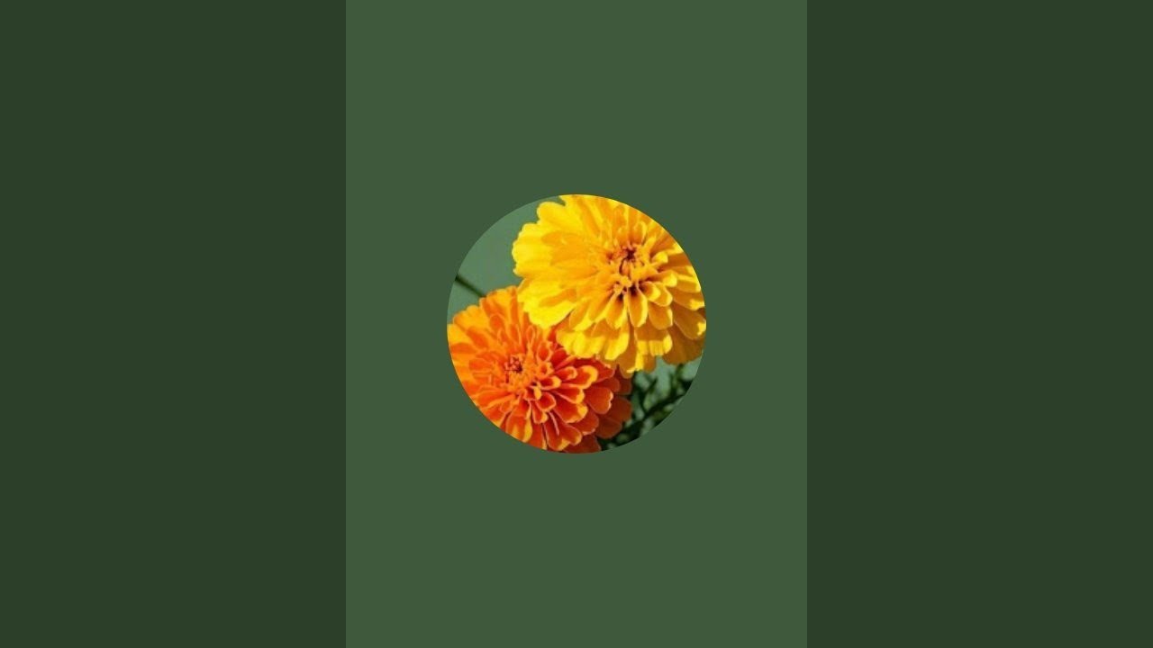 Adhithya A is live
