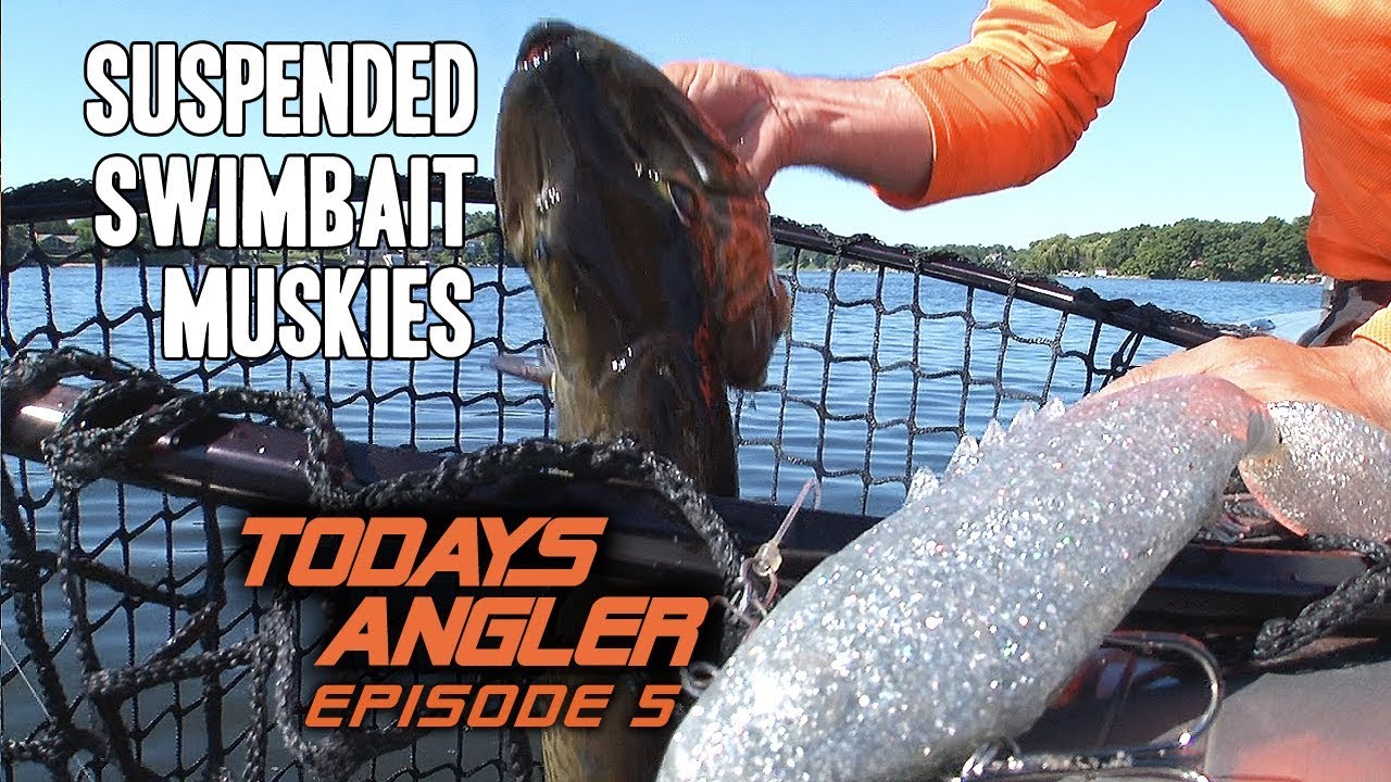 Suspended Swimbait Muskies - 