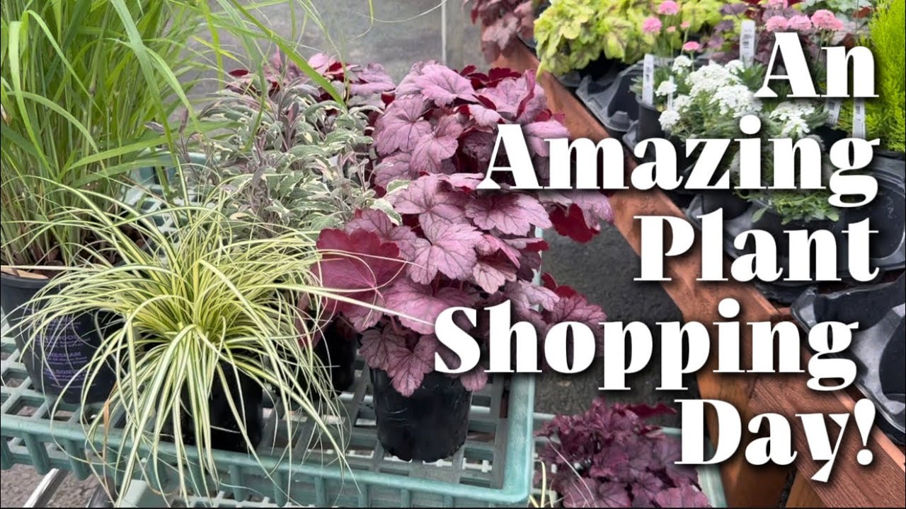 Visiting Three Garden Centers and Shopping for Lots of Beautiful Plants!