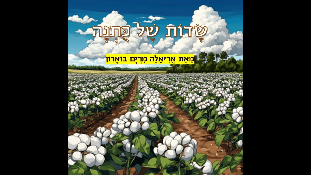 שדות של כותנה  אריאלה מרים