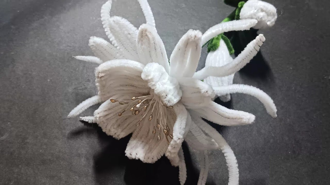 DIY || HOW TO MAKE A QUEEN OF THE NIGHT(Epiphyllum oxypetalum) FLOWER USING PIPE CLEANER 