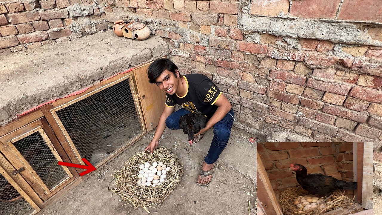 Sara Anda Babli Ka Nicha Rakh Dia 😍