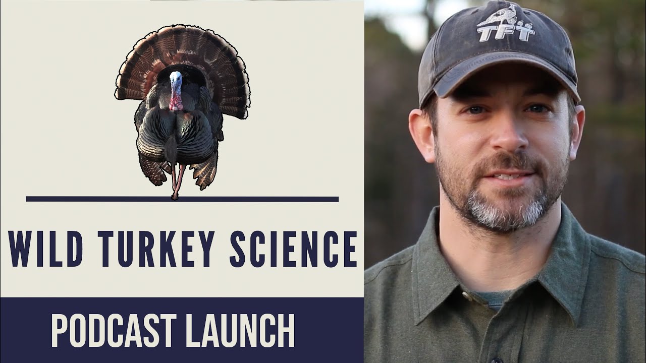 Intro to the Wild Turkey Science Podcast