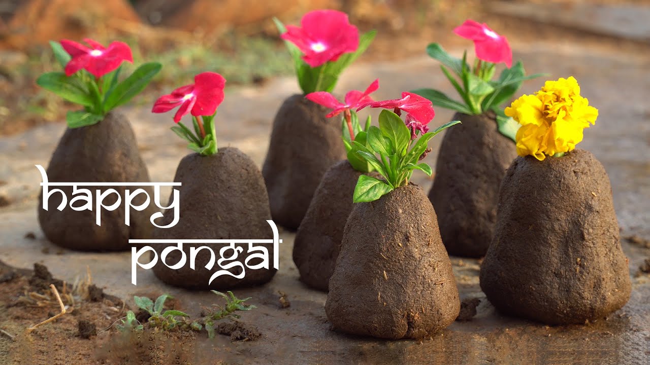 Happy Makar Sankranthi to all🙏🙏😊