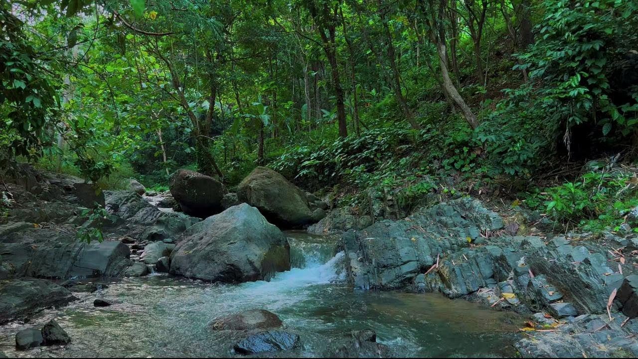 Relaxing Water River Ambience for Sleeping | Peaceful Night Nature for Stress-Free Dreams | 4K-HDR