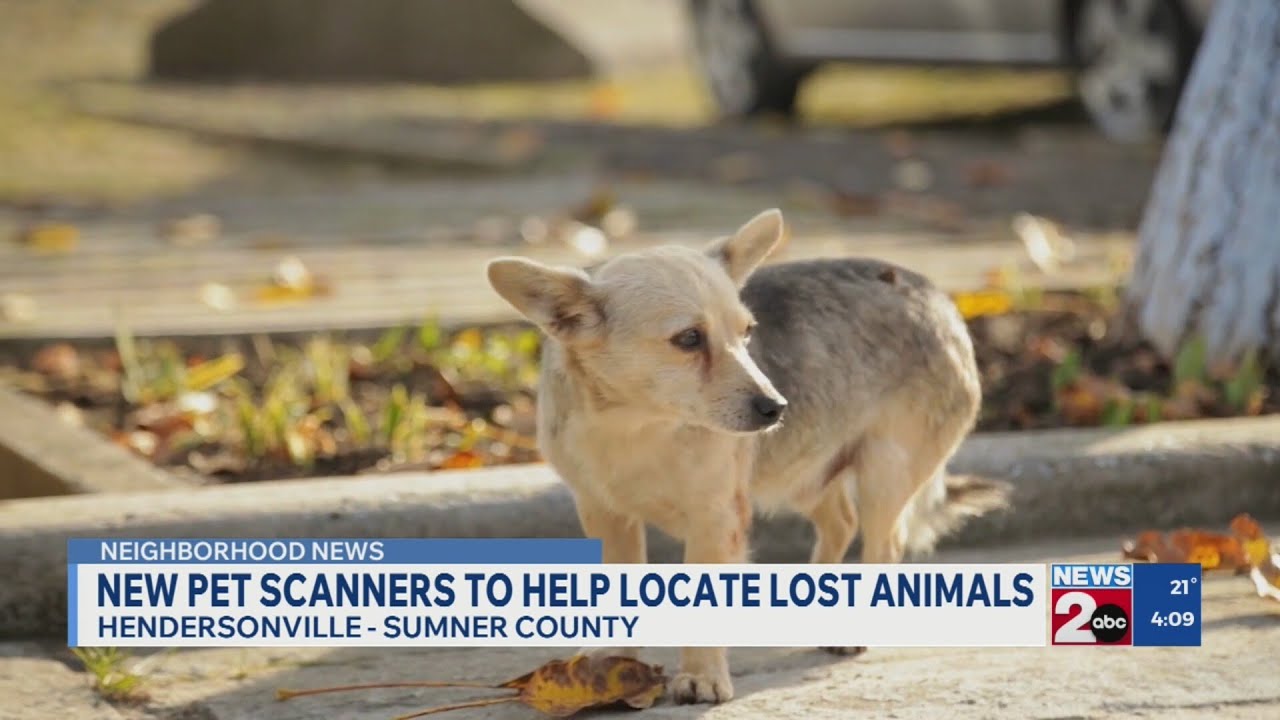 New pet scanners at Hendersonville dog parks to help locate lost pets