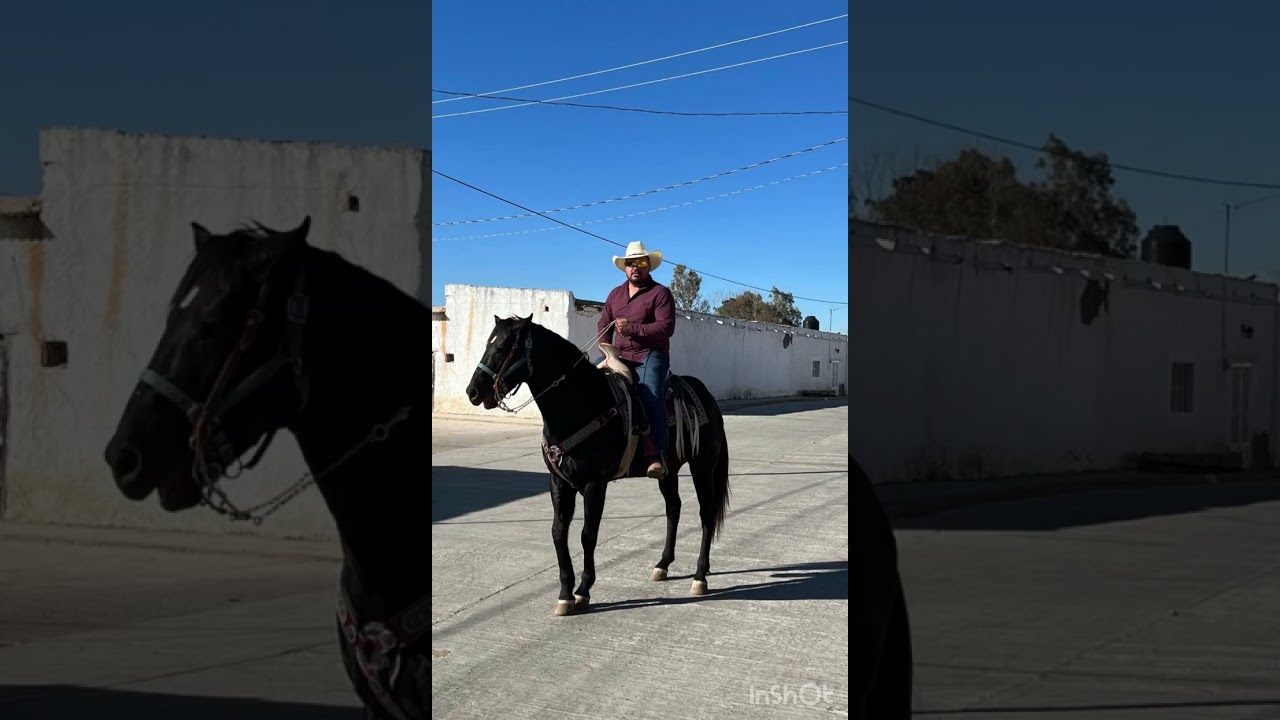 El Corrido de Fidel Mier 