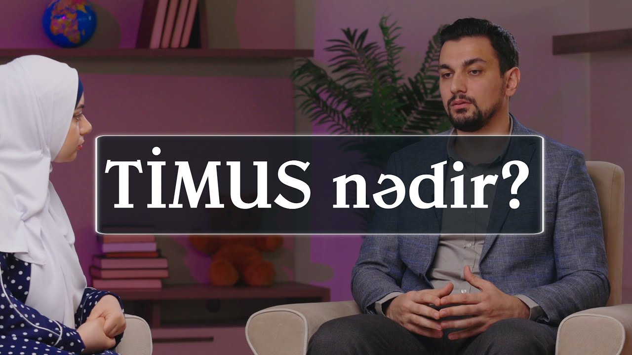 Timus nedir?