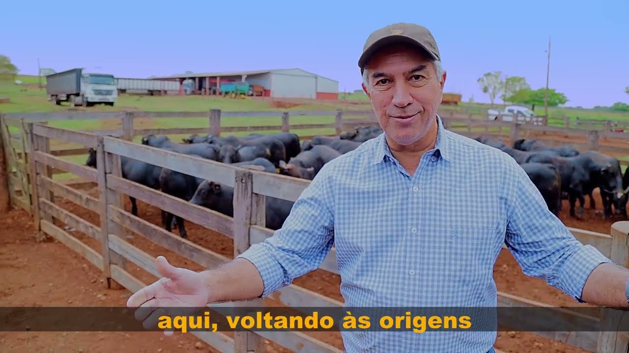 Lida na fazenda | Reinaldo Azambuja
