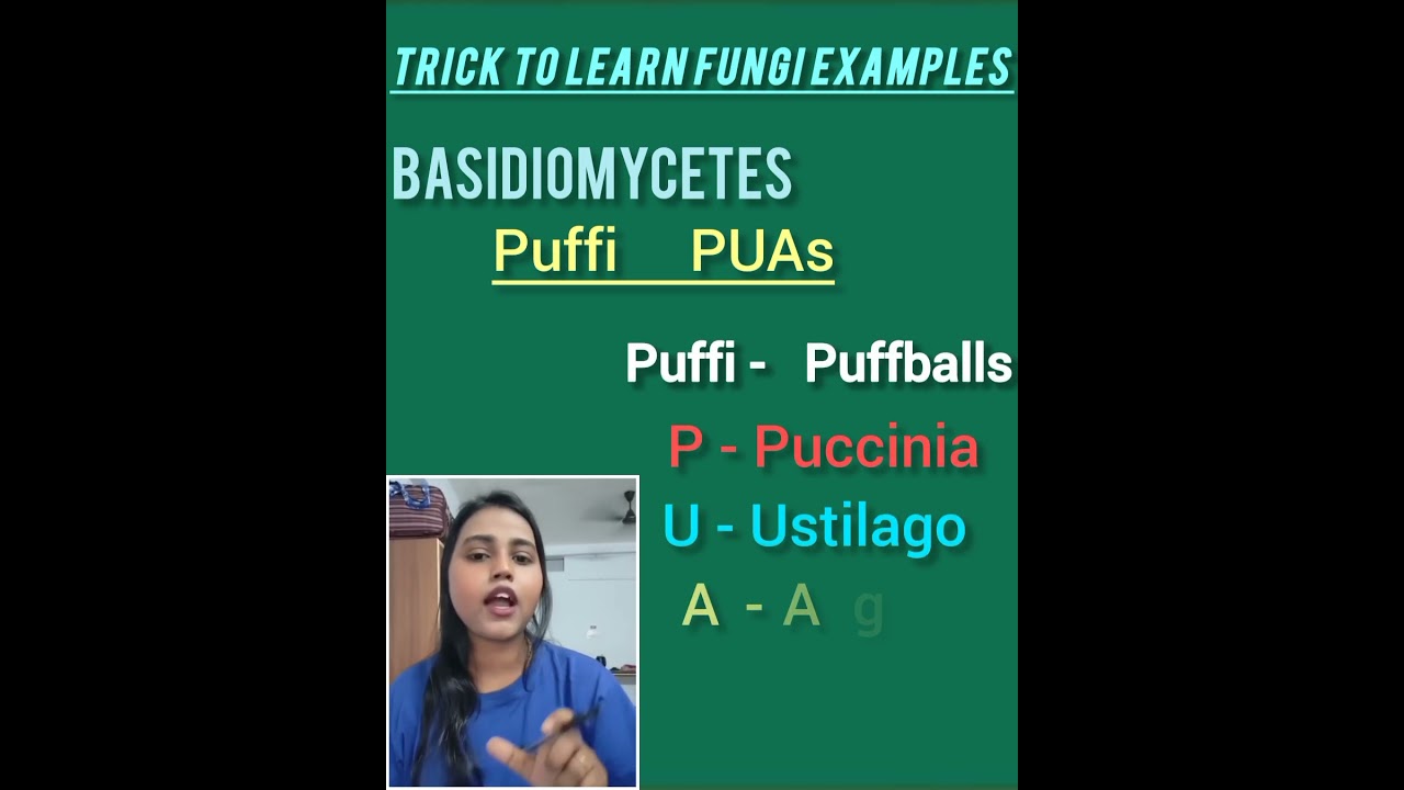 short trick to Revision example of fungi #biology #biologicalclassification #neet2026 #science