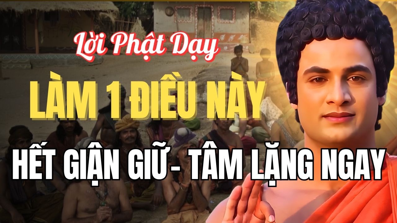 Giận Dữ Bùng Lên – Làm 1 Điều Phật Dạy – Tâm Lặng Và Dịu Xuống