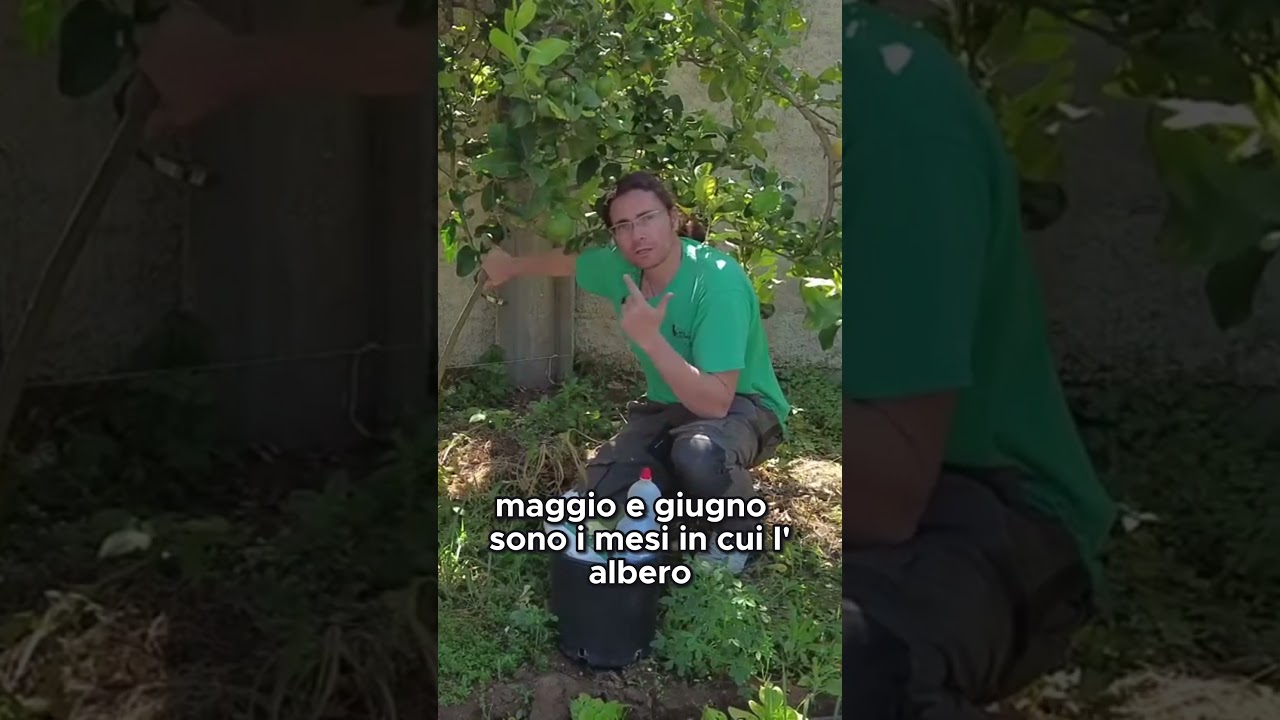 Periodo ideale per la Margotta: la Primavera! | GUARDA IL VIDEO COMPLETO