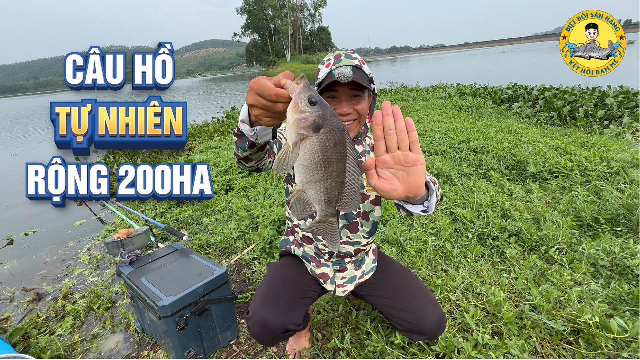 Câu Cá Tự Nhiên Giật Cháy Nách ở Hồ Vân Trục - Vĩnh Phúc