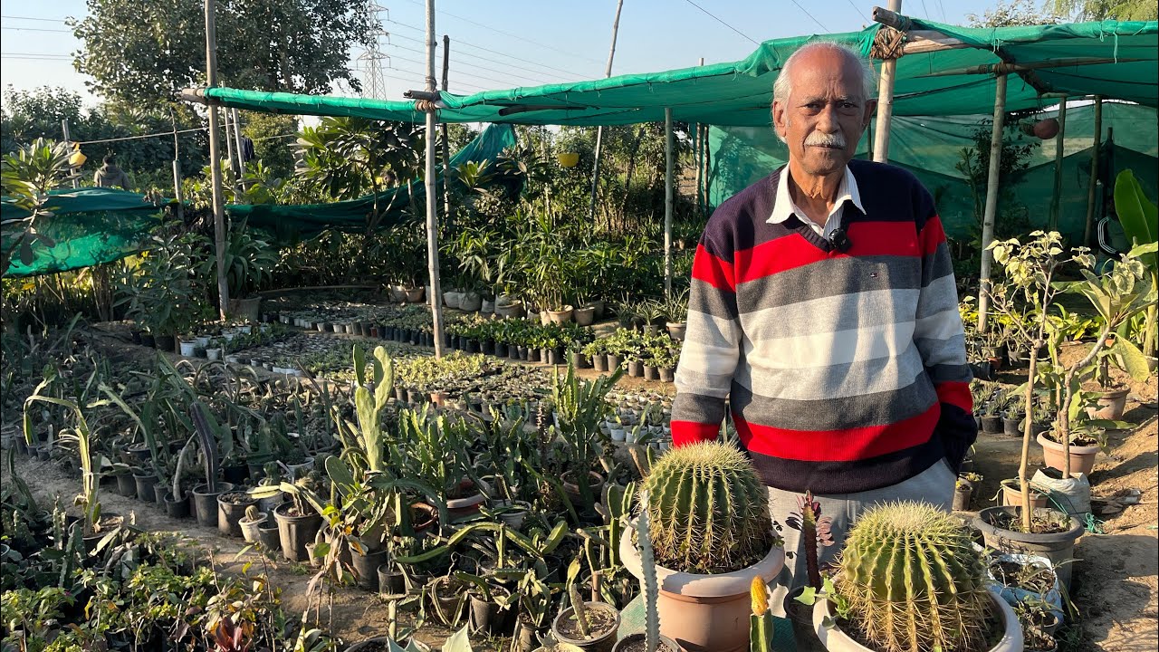Rare पौधों वाली दिल्ली की 45 साल पुरानी नर्सरी 😱🪴 घर बैठे मंगाए 🌱 Rare Plants Nursery