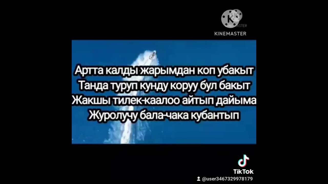 Бул дуйного эмне учун биз жаралдык