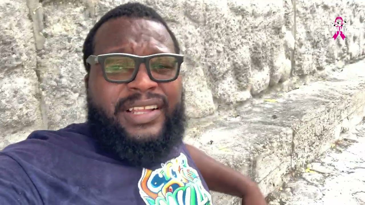 Hot Spring Bath Nevis Vlog 2024.