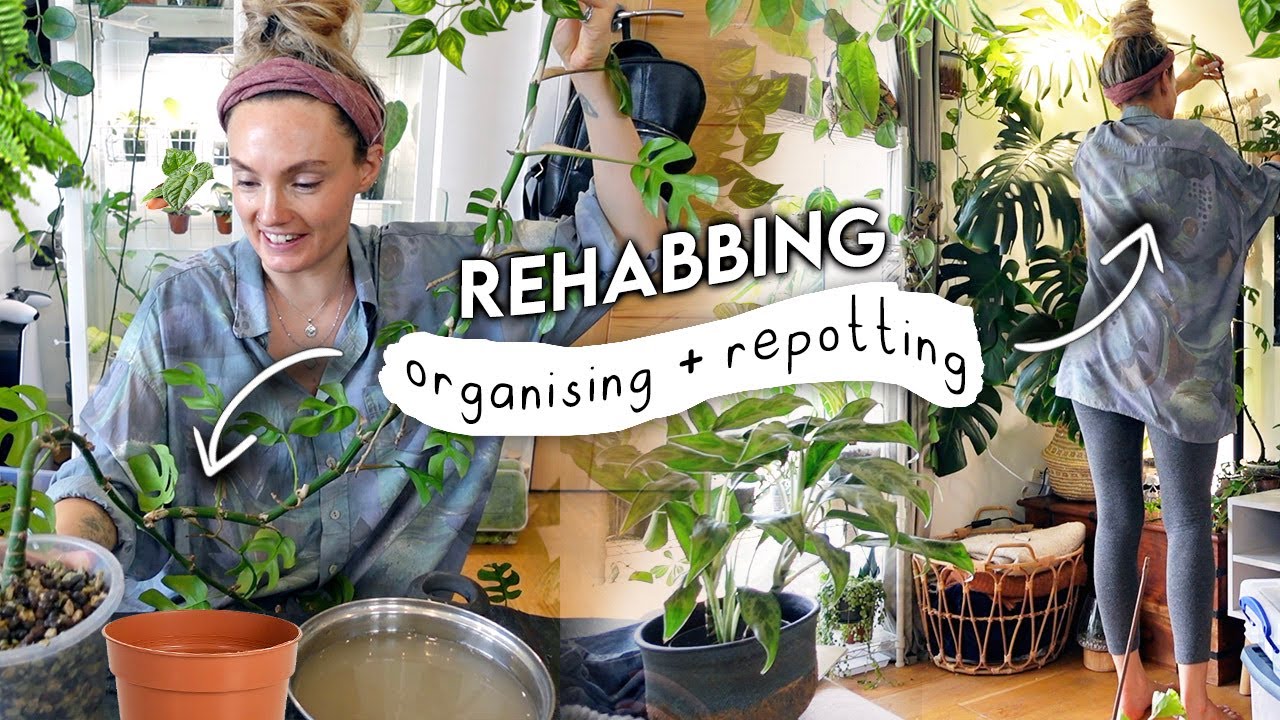 Plants I've Neglected... Getting On Top Of Plant Chores + Chat 🌱