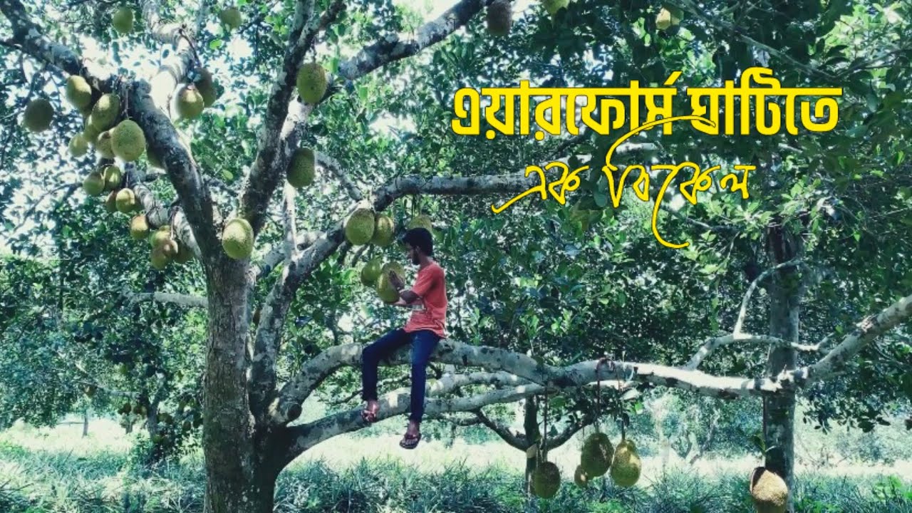 শমশেরনগর এয়ারফোর্স ঘাটিতে এক বিকেল!