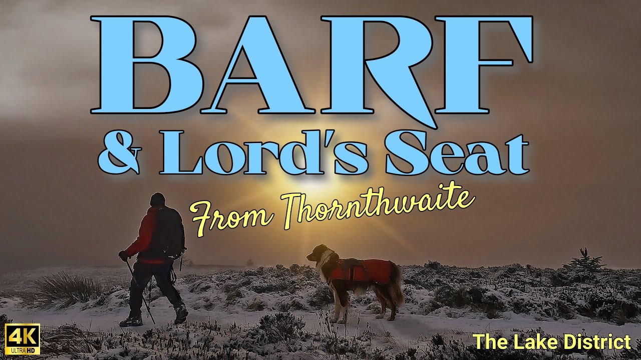 BARF и Lord's Seat из Торнтвейта, тихой части Уинлаттера (Озерный край)