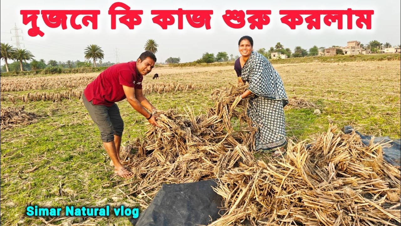 বিয়ের নিমন্ত্রণ করতে কারা এলো ? আয়ুষ নিয়ে ডাক্তার খানায় যেতে হল ।বাগান নতুনভাবে তৈরি হলো।