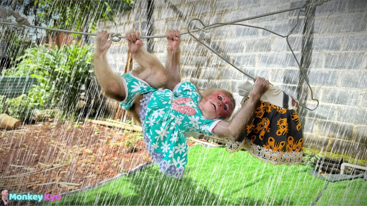 What a surprise! Kyo helps Dad bring the clothes in before it rains!