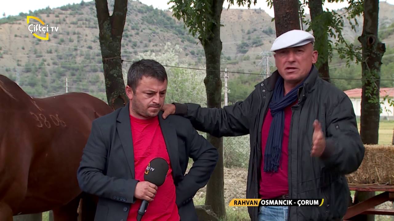 Rahvan-Atçılık