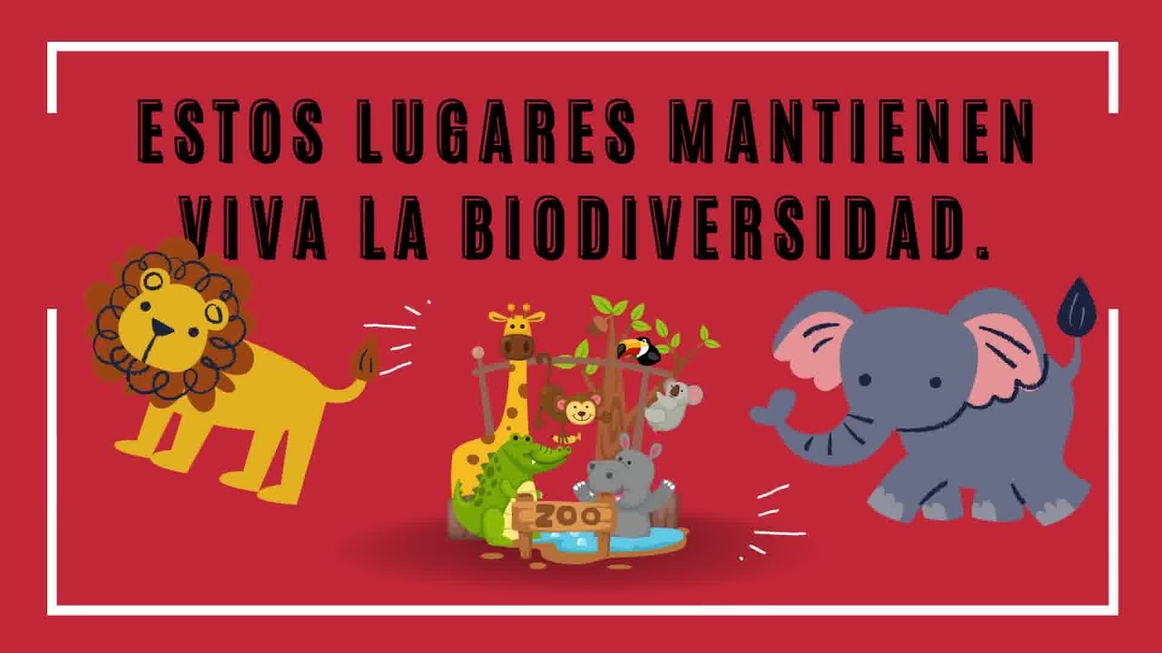 Descubre el papel vital de los zool&oacute;gicos en la conservaci&oacute;n de especies en peligro de extinci&oacute;n.