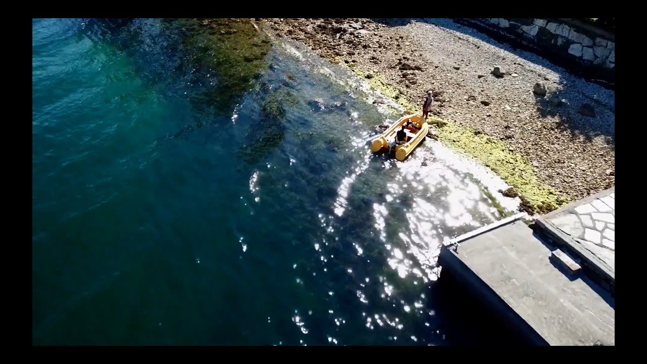 Beerenernte | Work & Travel am Hardangerfjord | Norwegen #33