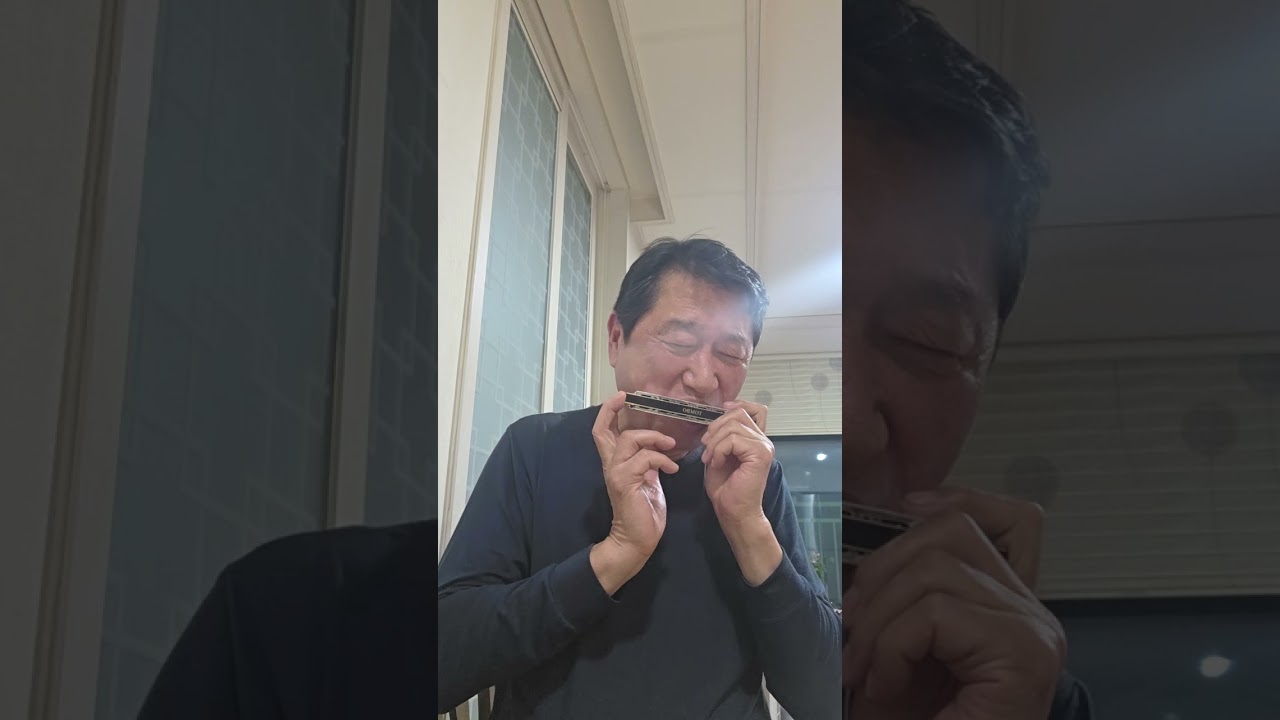 섬마을선생님 하모니카.