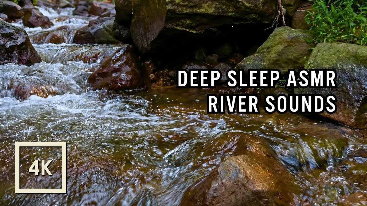 Calm Forest River Water Sounds ASMR for Deep Sleep – Natural Stream Ambience for Night Relaxation