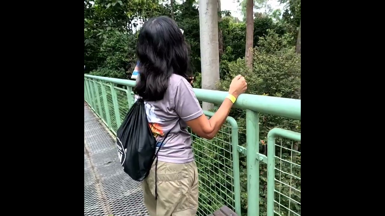 Fascinating Sabah Road Trip 2024 - Rainforest Discovery Centre, Sandakan