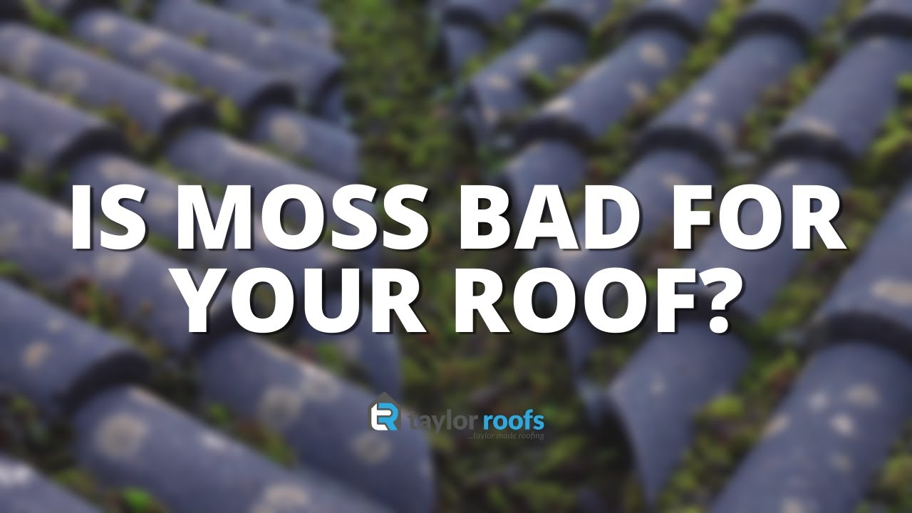 Is Moss Bad for Your Roof?