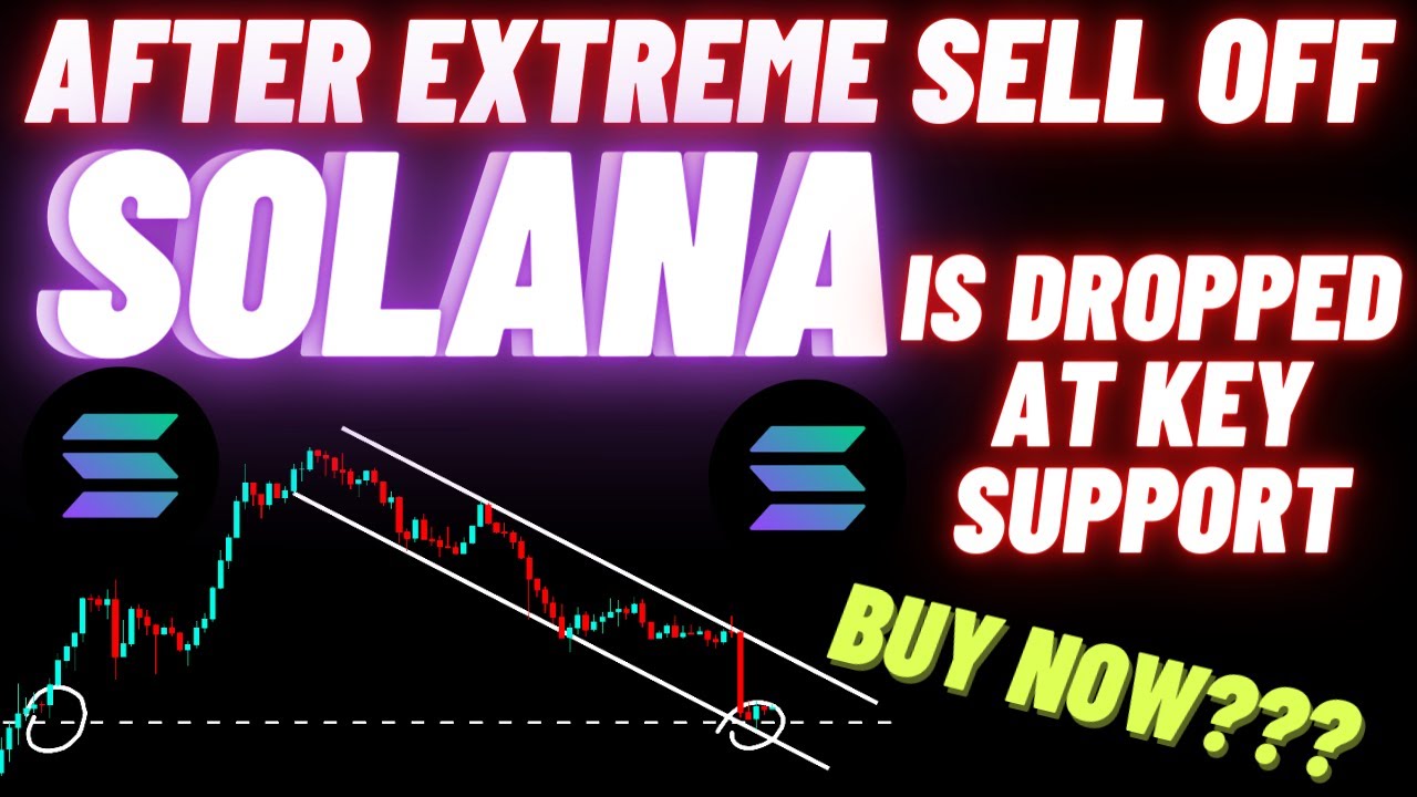 After Extreme Sell Off Solana SOL Is Dropped At Key Support