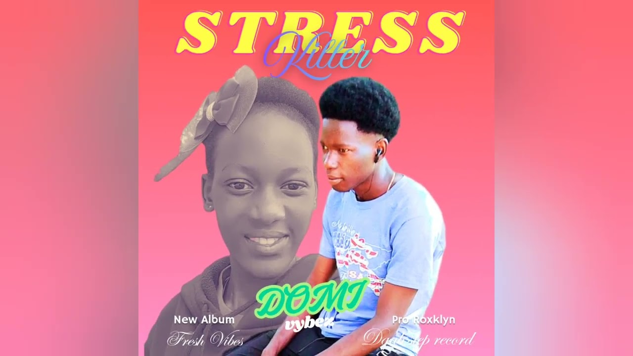 Domi Vybez_-_Stress killer_Official Audio. 