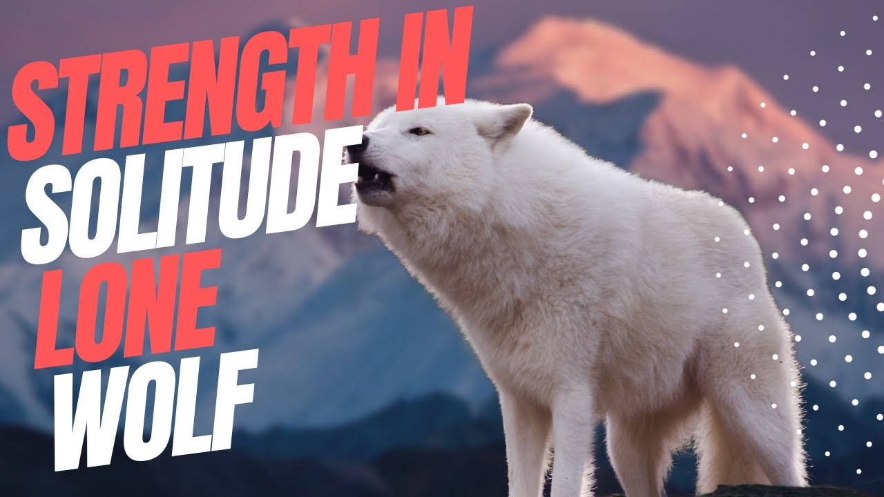 Strength in Solitude 💪 A Motivational Video for Those Who Stand Alone 🐺