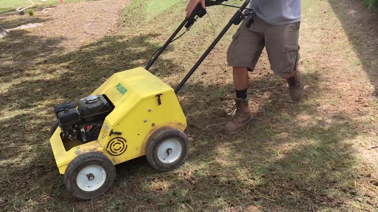 Spring aeration. Plugr 30
