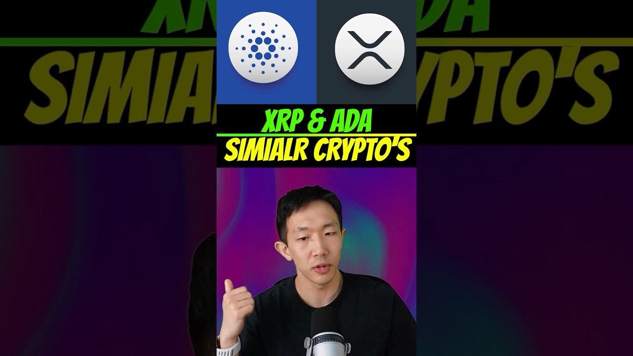 What are similar crypto&rsquo;s to XRP & Cardano #crypto #xrp #cardano