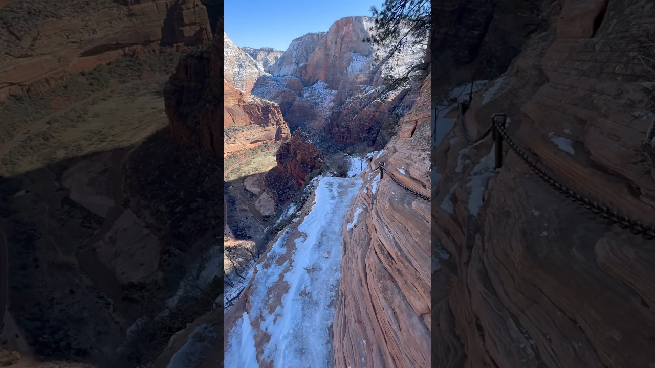Would you take on one of the most thrilling hikes in Utah? #AngelsLanding #ZionNationalPark #Hiking